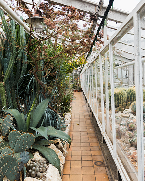 Heller Wintergarten mit eleganter Einrichtung und Zimmerpflanzen